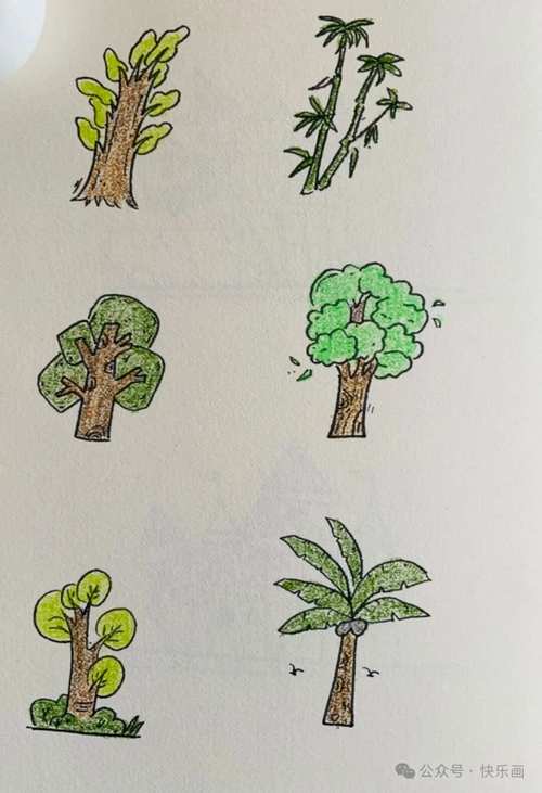 小樹的周長(zhǎng)是多少