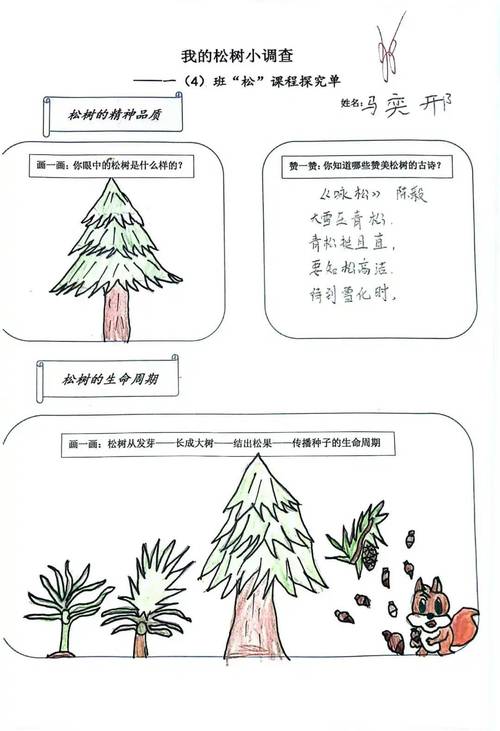 小樹的周長(zhǎng)是多少