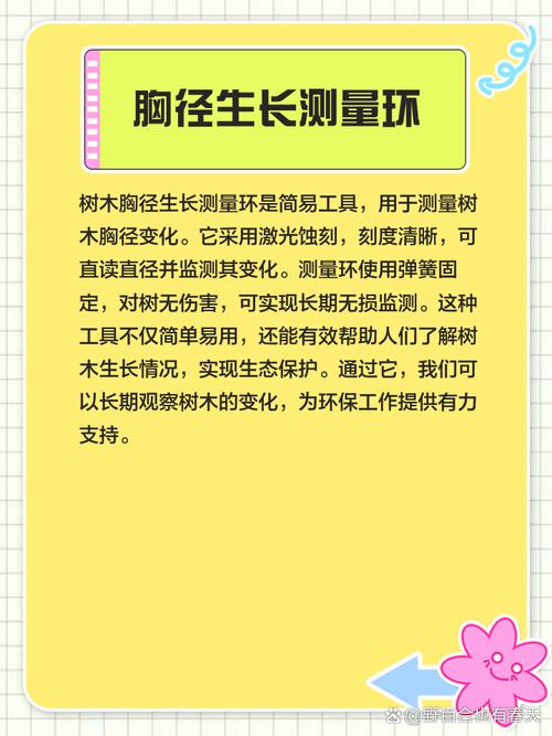 小樹的周長(zhǎng)是多少