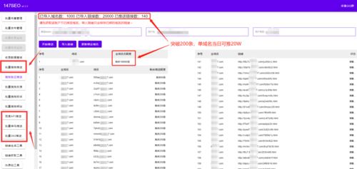 百度蜘蛛池引流:蜘蛛池域名投放策略，如何精準(zhǔn)投放，提高搜索引擎收錄效果