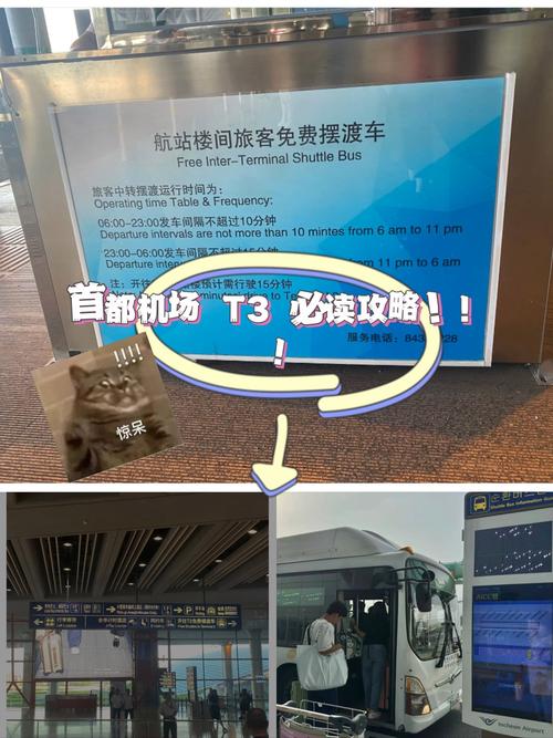 首都機(jī)場t3廣告一年多少錢