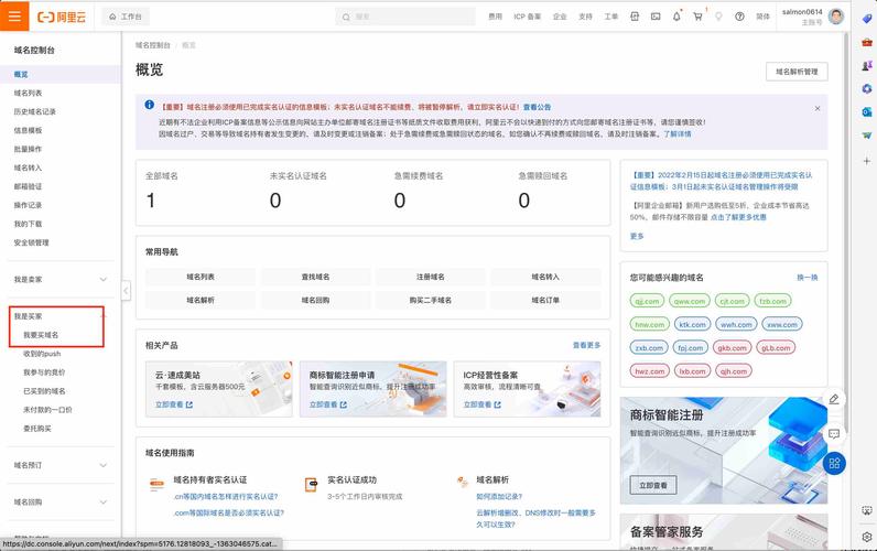 域名服務(wù)器一個月多少錢