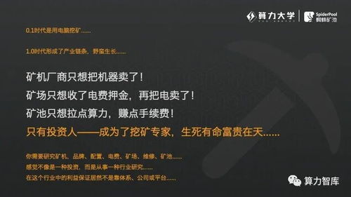 百度蜘蛛池出租:亞洲蜘蛛礦池崛起，引領(lǐng)數(shù)字貨幣挖礦新潮流