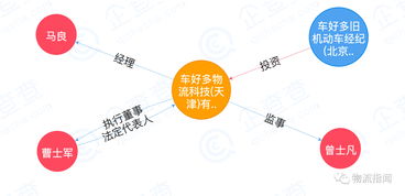 百度蜘蛛池價格:蜘蛛池，揭秘網絡營銷中的神秘力量