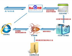 百度蜘蛛池出租:蜘蛛池工作原理圖解大全，揭秘網絡營銷的秘密武器