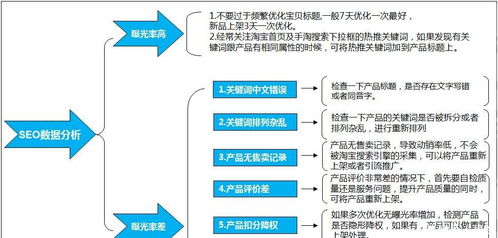 百度蜘蛛池引流:SEO網(wǎng)絡(luò)營(yíng)銷(xiāo)培訓(xùn)，深度解析外推策略與蜘蛛池運(yùn)用