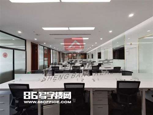 百度蜘蛛池出租:蜘蛛池的分類與應(yīng)用，揭秘網(wǎng)絡(luò)營(yíng)銷新利器
