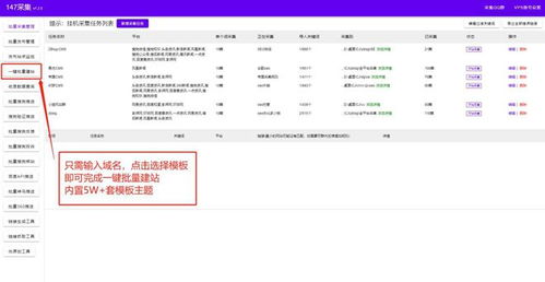 百度蜘蛛池效果:輕松入門，小旋風蜘蛛池搭建全攻略——附帶實用視頻教程！