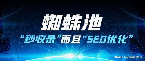 百度蜘蛛池收錄:怎么搭建蜘蛛池圖解教程，輕松實現(xiàn)高效信息抓取