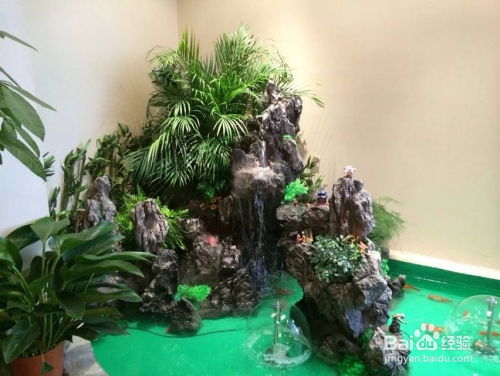 百度蜘蛛池優(yōu)化:魚池有蜘蛛網(wǎng)，是好事還是壞事？