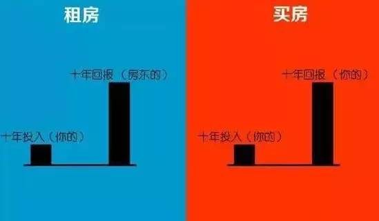 百度蜘蛛池出租:深度解析蜘蛛池費用，投資與回報的權(quán)衡之道
