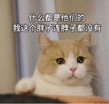 百度蜘蛛池價格:揭秘阿里蜘蛛池，揭秘其重要作用與運作原理