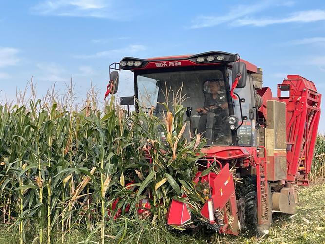 雷沃玉米收割機(jī)cb04多少錢