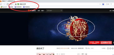 百度蜘蛛池收錄:揭秘單域名蜘蛛池，網(wǎng)絡(luò)爬蟲(chóng)界的獨(dú)行者