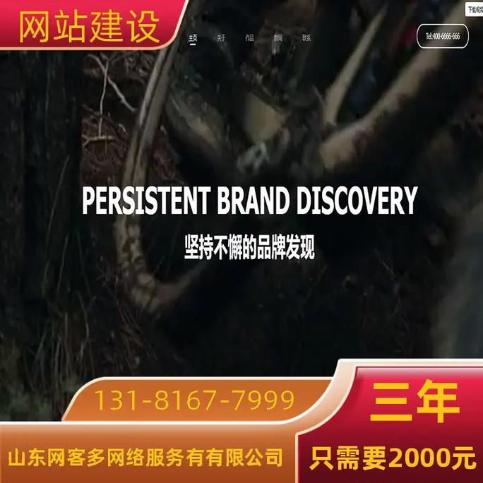 做一個網(wǎng)站一年要多少錢