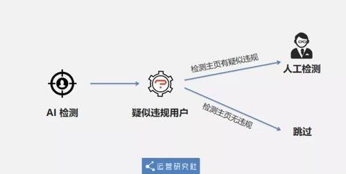 百度蜘蛛池引流:蜘蛛池連接思路，構(gòu)建高效網(wǎng)絡(luò)信息獲取的橋梁
