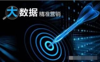 百度蜘蛛池引流:小旋風蜘蛛池，揭秘高效反向代理的秘密武器