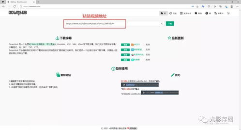 百度蜘蛛池引流:蜘蛛池蓋子打開全攻略，輕松上手，視頻教學(xué)助你一臂之力