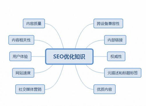 百度蜘蛛池效果:大佬SEO策略揭秘，蜘蛛池在搜索引擎優(yōu)化中的應用與挑戰(zhàn)